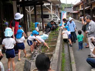 大森郵便局田植え